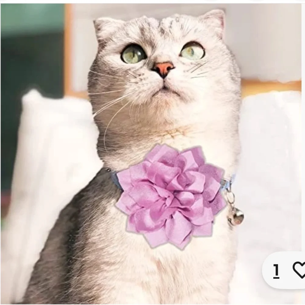 50%offw❤️ 20 Dog Collar Flowers Attachement Cat Bow Tie Flora Accessories Set